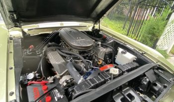 
										1967 Shelby Mustang GT500 V8 Fastback full									