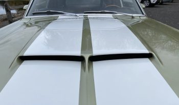 
										1967 Shelby Mustang GT500 V8 Fastback full									