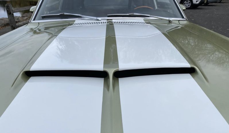 
								1967 Shelby Mustang GT500 V8 Fastback full									