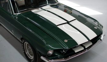 
										1967 Shelby Mustang GT350 full									