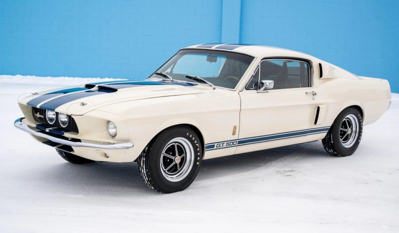 
								1967 Shelby Mustang GT500 full									